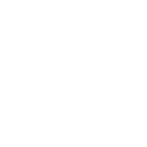 kungfu-lockup-white